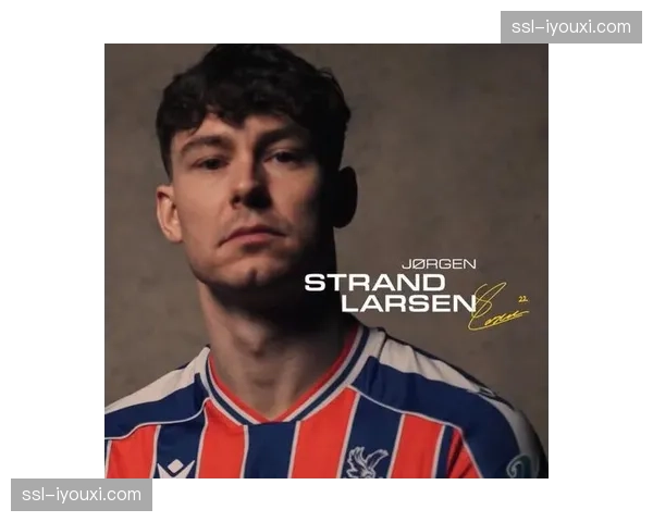 水晶宫近9000万欧锋线重组评级存疑 拉尔森联赛仅1球效率低下